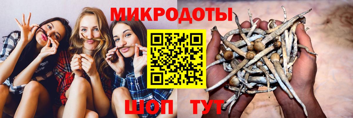 Мытищи  Псилоцибиновые грибы прущие грибы  Вход с VPN 